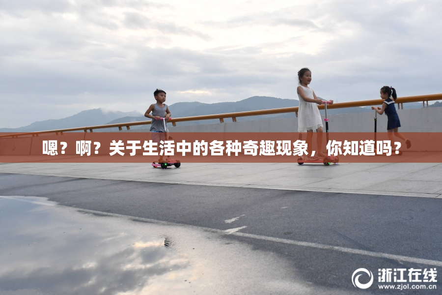 嗯？啊？关于生活中的各种奇趣现象，你知道吗？