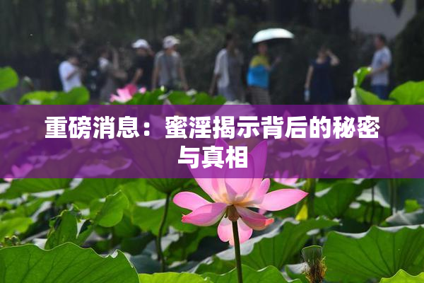 重磅消息：蜜淫揭示背后的秘密与真相
