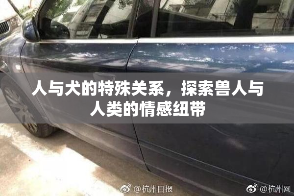 人与犬的特殊关系，探索兽人与人类的情感纽带