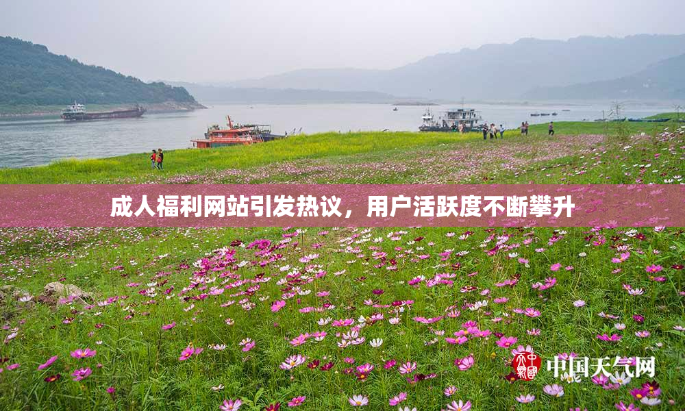 成人福利网站引发热议，用户活跃度不断攀升