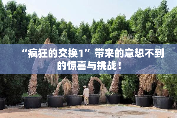 “疯狂的交换1”带来的意想不到的惊喜与挑战！