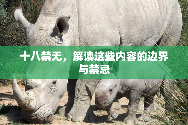 十八禁无，解读这些内容的边界与禁忌