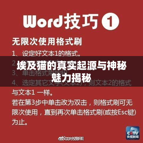 埃及猫的真实起源与神秘魅力揭秘