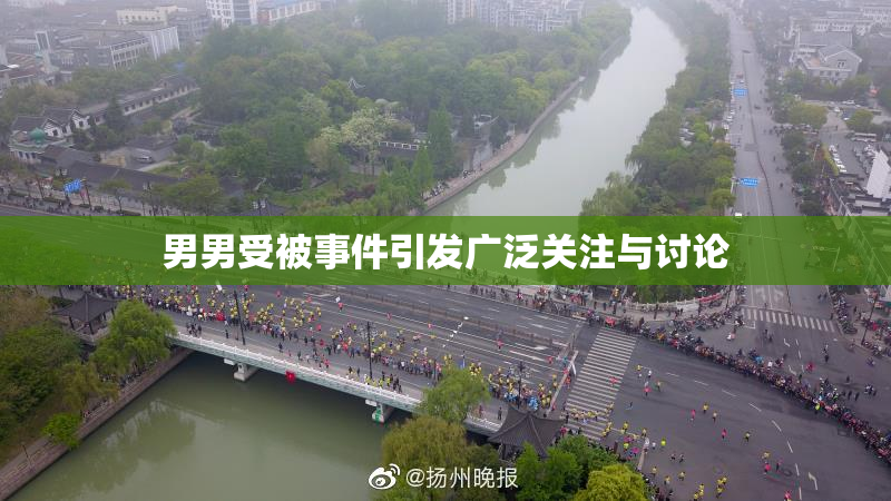 男男受被事件引发广泛关注与讨论
