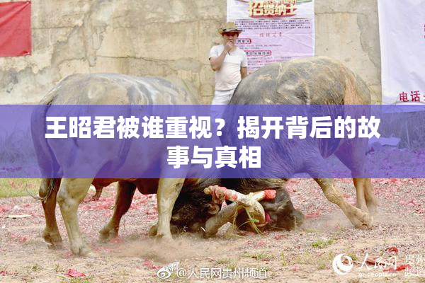 王昭君被谁重视？揭开背后的故事与真相