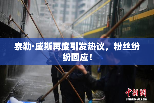 泰勒·威斯再度引发热议，粉丝纷纷回应！