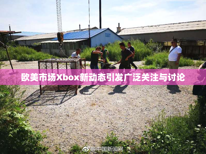 欧美市场Xbox新动态引发广泛关注与讨论