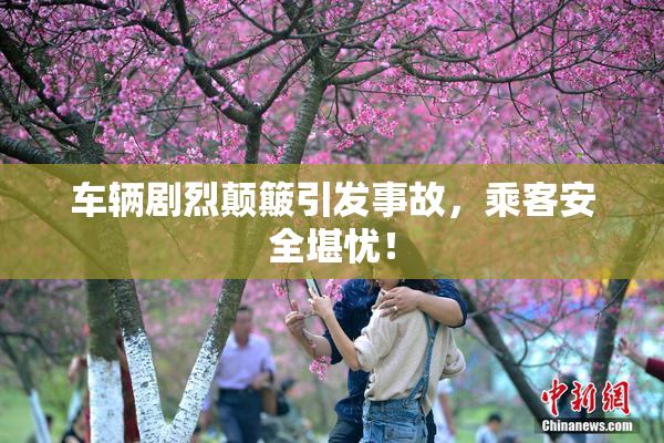 车辆剧烈颠簸引发事故，乘客安全堪忧！