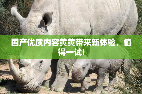 国产优质内容黄黄带来新体验，值得一试!