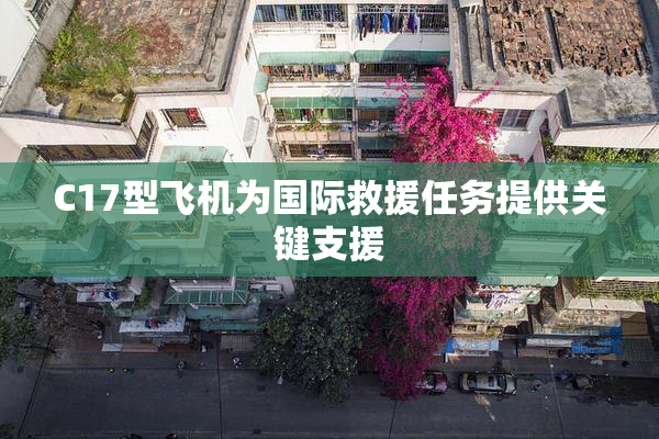 C17型飞机为国际救援任务提供关键支援