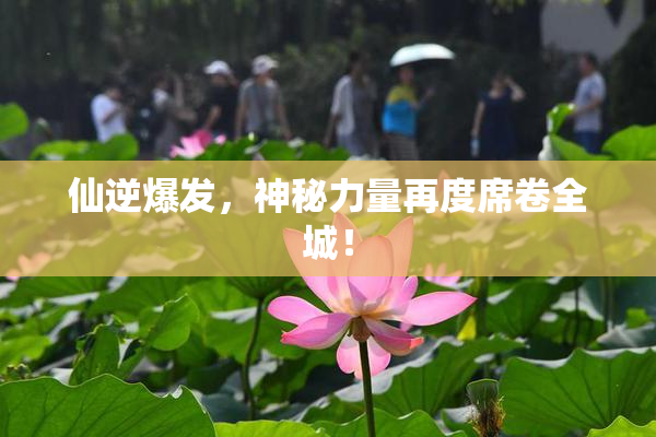 仙逆爆发，神秘力量再度席卷全城！