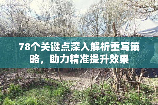 78个关键点深入解析重写策略，助力精准提升效果