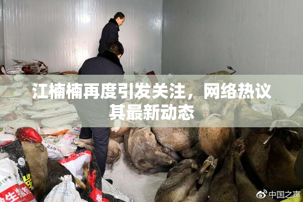 江楠楠再度引发关注，网络热议其最新动态