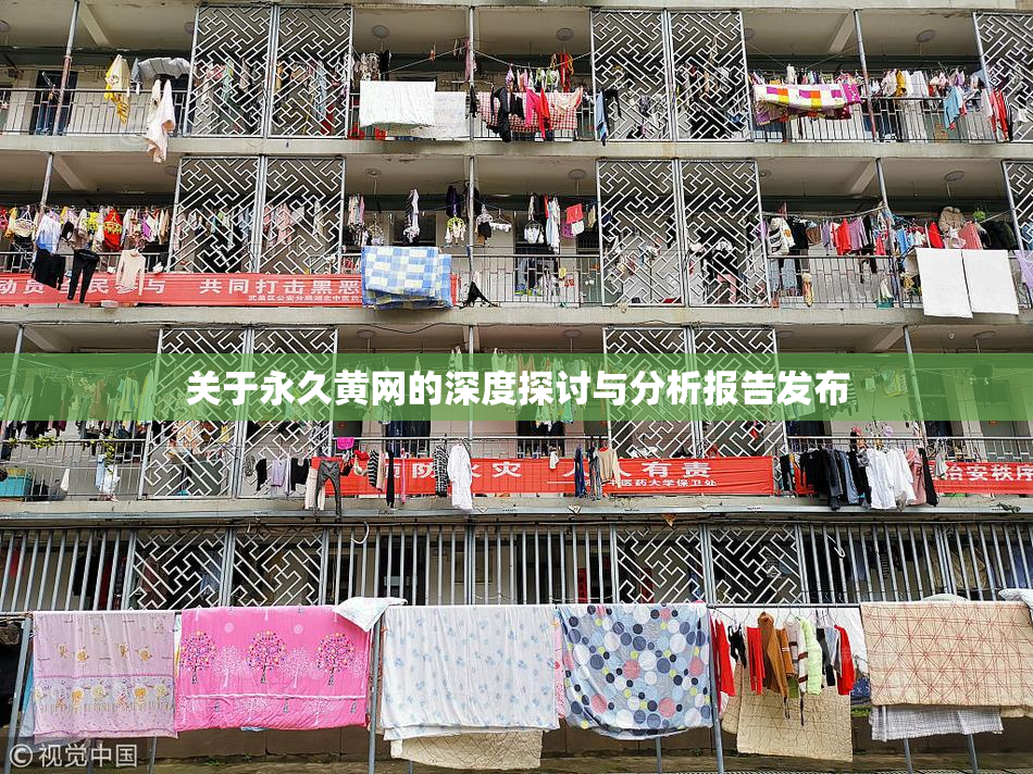关于永久黄网的深度探讨与分析报告发布