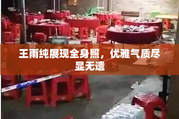 王雨纯展现全身照，优雅气质尽显无遗