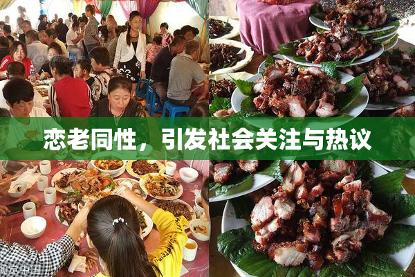恋老同性，引发社会关注与热议
