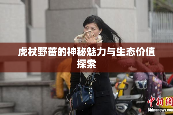 虎杖野蔷的神秘魅力与生态价值探索