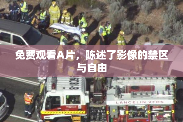免费观看A片，陈述了影像的禁区与自由