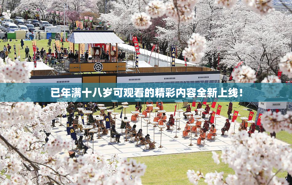 已年满十八岁可观看的精彩内容全新上线！