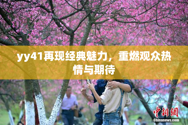 yy41再现经典魅力，重燃观众热情与期待