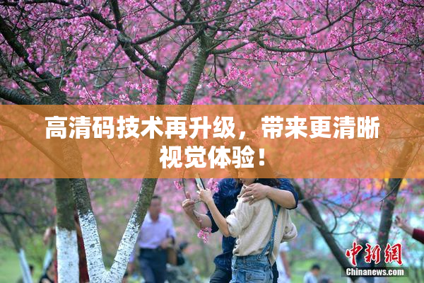 高清码技术再升级，带来更清晰视觉体验！