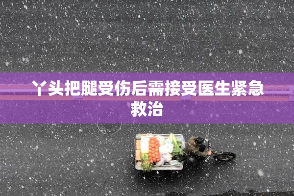 丫头把腿受伤后需接受医生紧急救治