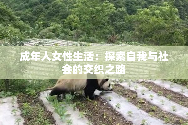 成年人女性生活：探索自我与社会的交织之路