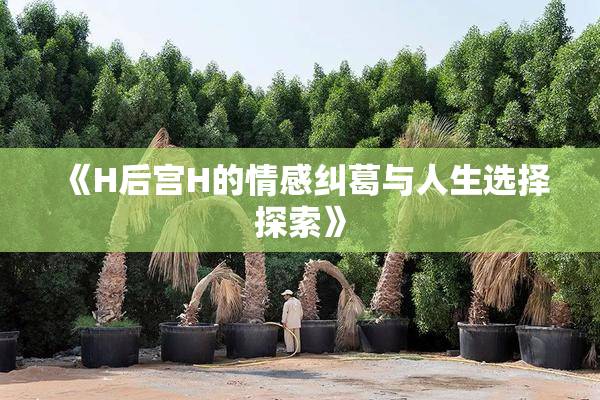 《H后宫H的情感纠葛与人生选择探索》