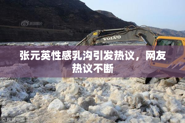 张元英性感乳沟引发热议，网友热议不断