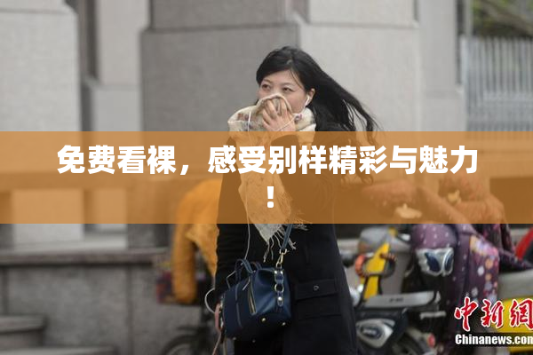免费看裸，感受别样精彩与魅力！