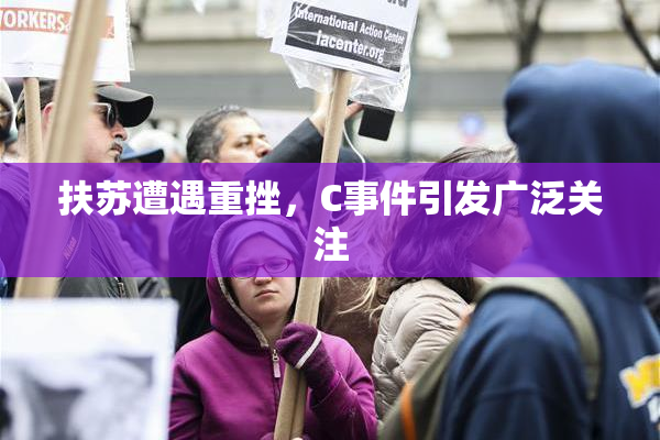 扶苏遭遇重挫，C事件引发广泛关注