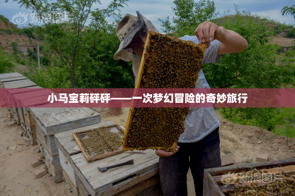 小马宝莉砰砰——一次梦幻冒险的奇妙旅行