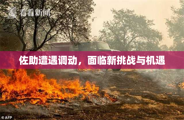 佐助遭遇调动，面临新挑战与机遇