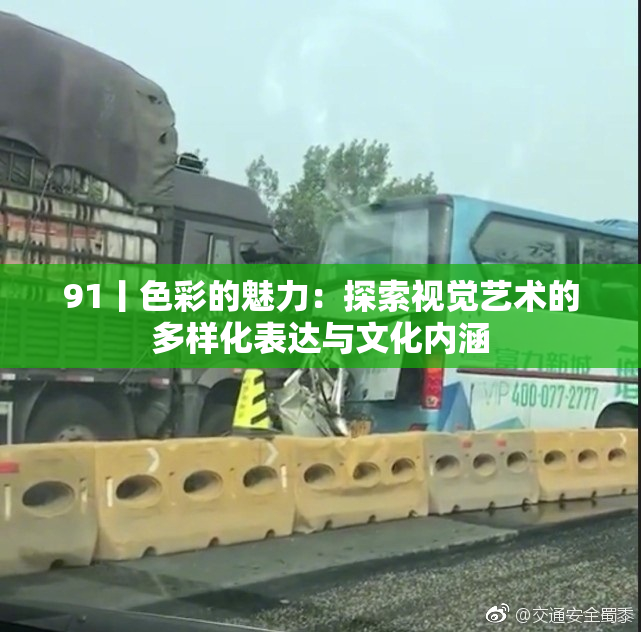 91丨色彩的魅力：探索视觉艺术的多样化表达与文化内涵
