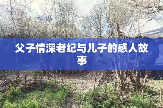 父子情深老纪与儿子的感人故事