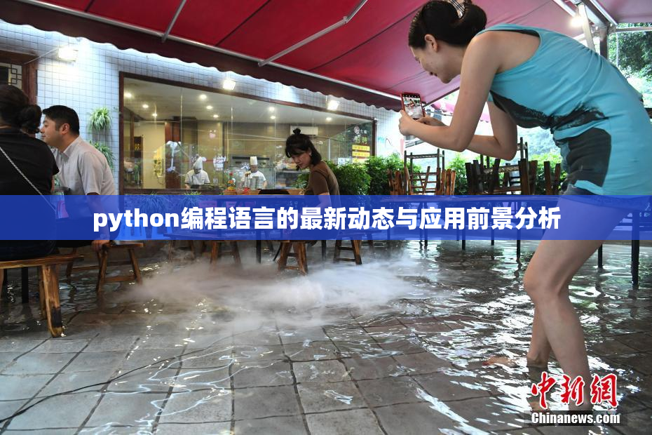 python编程语言的最新动态与应用前景分析