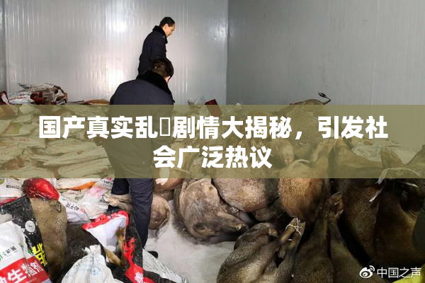 国产真实乱婬剧情大揭秘，引发社会广泛热议