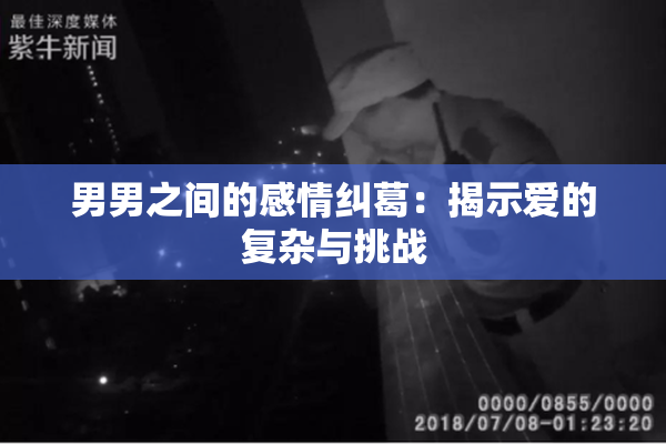 男男之间的感情纠葛：揭示爱的复杂与挑战