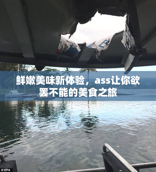 鲜嫩美味新体验，ass让你欲罢不能的美食之旅