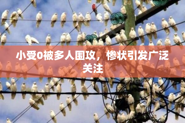 小受0被多人围攻，惨状引发广泛关注