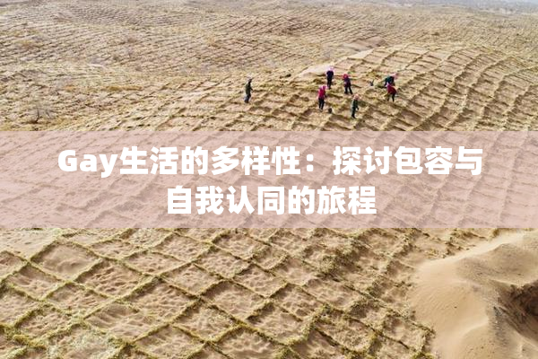 Gay生活的多样性：探讨包容与自我认同的旅程