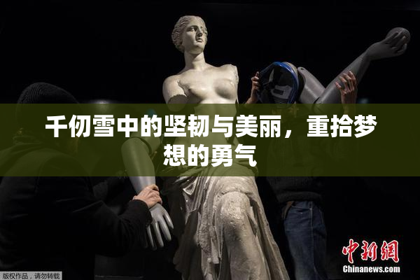 千仞雪中的坚韧与美丽，重拾梦想的勇气