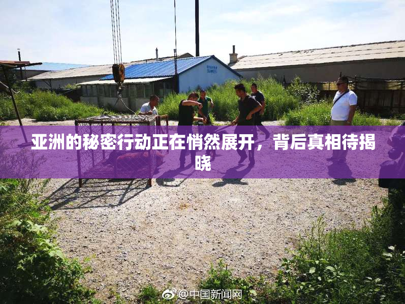 亚洲的秘密行动正在悄然展开，背后真相待揭晓