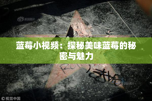 蓝莓小视频：探秘美味蓝莓的秘密与魅力