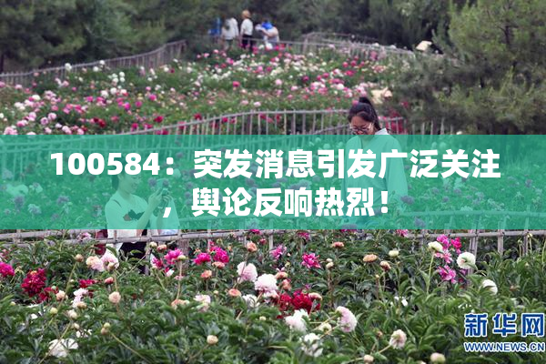 100584：突发消息引发广泛关注，舆论反响热烈！