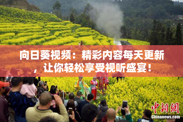 向日葵视频：精彩内容每天更新，让你轻松享受视听盛宴！