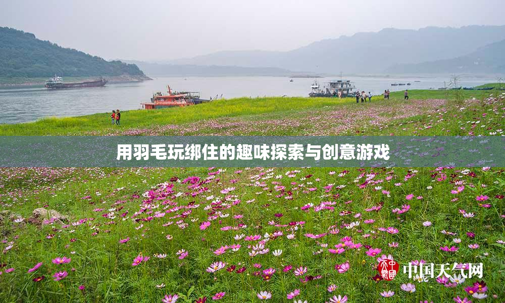 用羽毛玩绑住的趣味探索与创意游戏