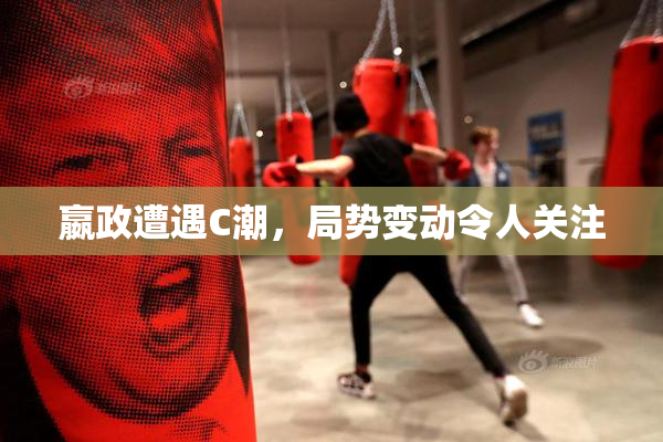 嬴政遭遇C潮，局势变动令人关注