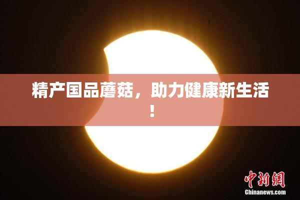 精产国品蘑菇，助力健康新生活！