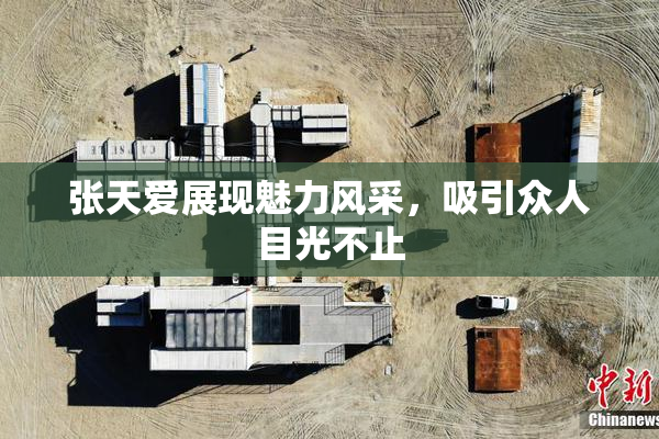 张天爱展现魅力风采，吸引众人目光不止